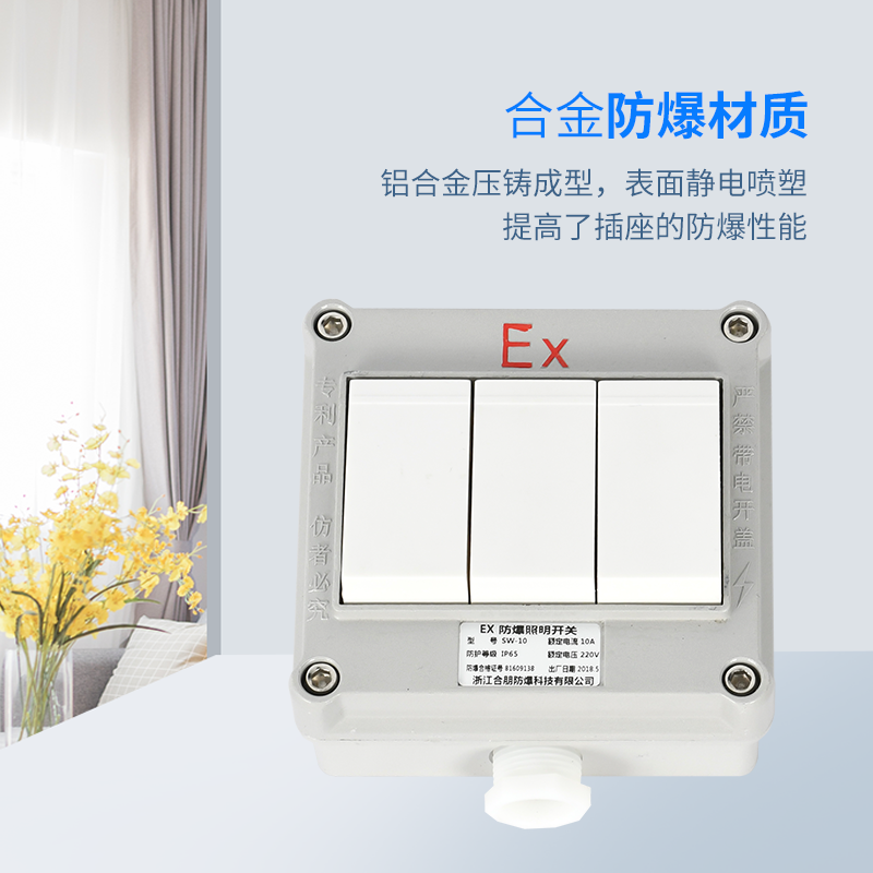 防爆开关墙壁开关86型户外室内五孔插座 220/380V电源工业插座10A,家装灯饰光源,其它灯具灯饰,淘宝优惠券,粉丝福利购,淘宝优惠卷