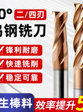 两刃钨钢铣刀4刃60度四刃d4合金立铣刀60度2刃键槽加长洗刀定制16
