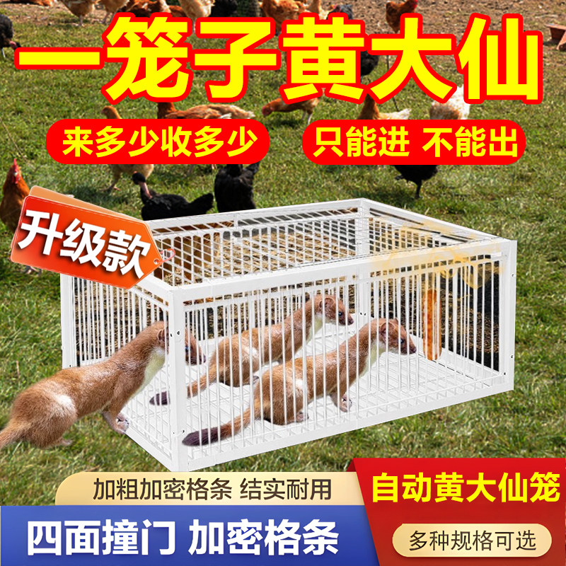 大鼠狼抓捕神器养鸡窝围栏防黄鼬狼驱赶克星黄大仙笼子大号诱捕器