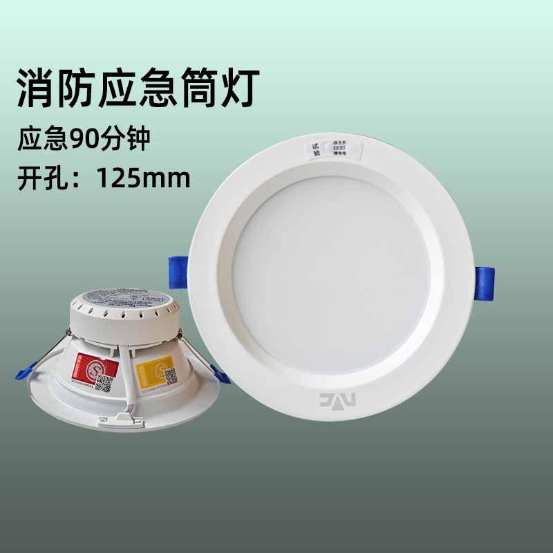 雷士照明消防应急筒灯