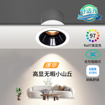雷士照明LED射灯客厅过道背景