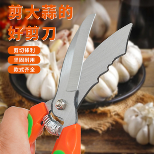 大蒜专用剪刀剪蒜须杆洋葱剪子园艺剪修蒜根神器剪蒜头切蒜根葱段