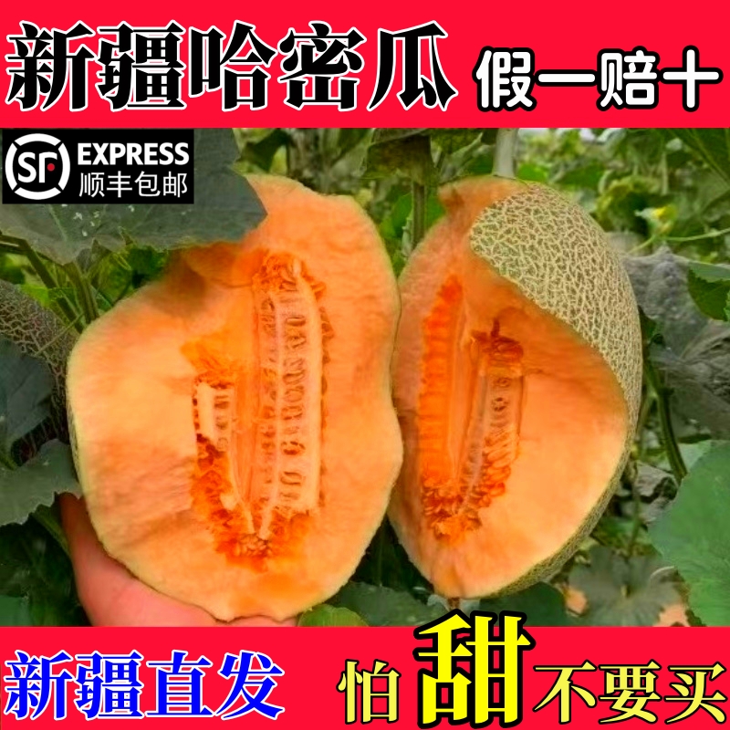 新疆种植的新疆哈密瓜绝非假冒