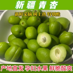 新疆青杏酸脆青杏当季新鲜水果现摘现发包邮托克逊小杏子特别酸