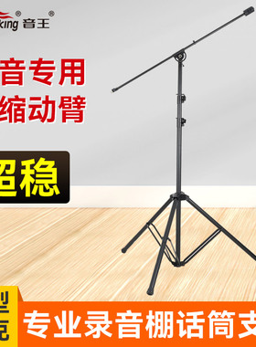 音王话筒支架落地式麦克风架伸缩动臂话筒架舞台录音棚话筒支架