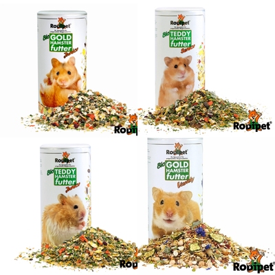 胖墩德国rodipet长毛金丝熊