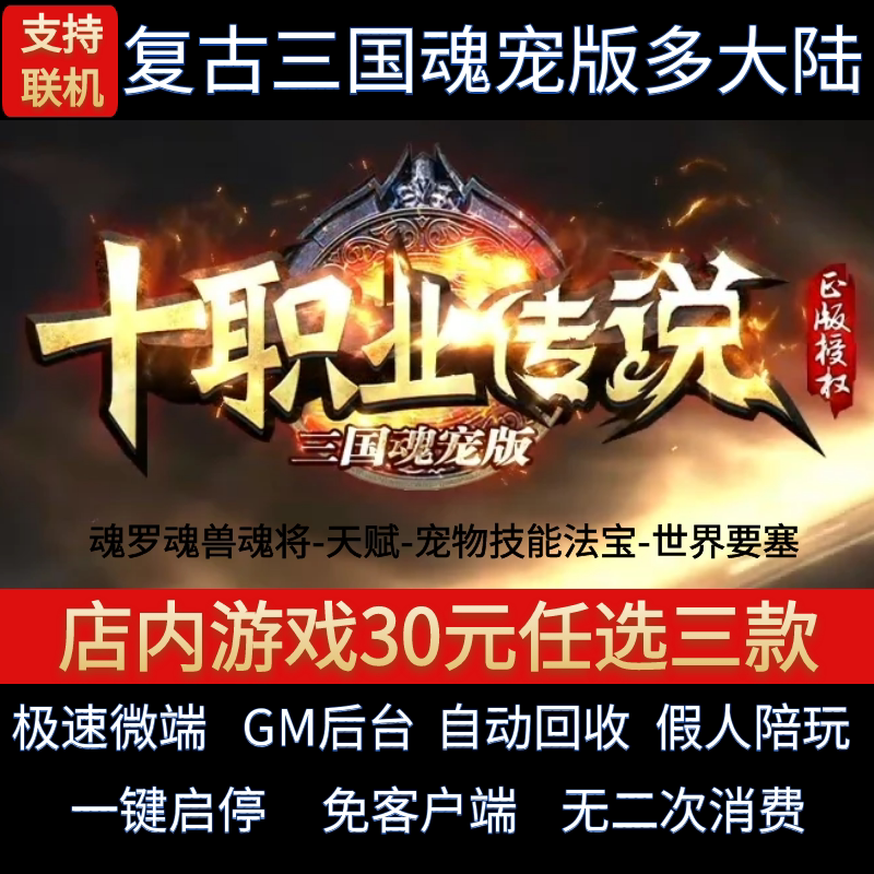 传奇单机电脑版十职业传说多大陆三国魂宠暗黑假人GM后台微端联网