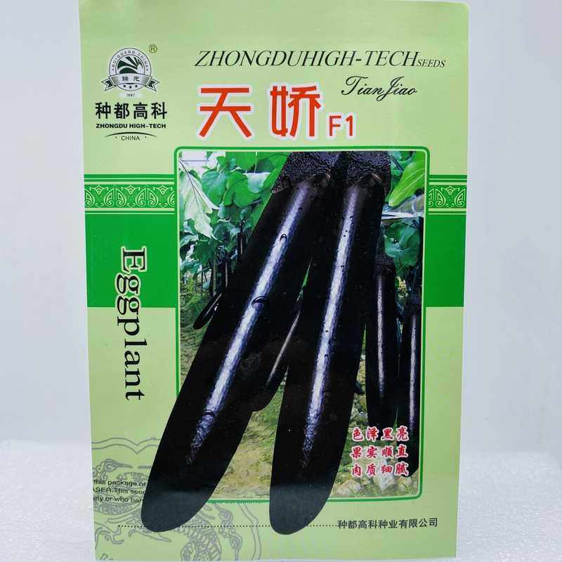 精品10克黑金刚长茄茄子种子黑优亮长茄早熟高产抗病蔬菜基地用种