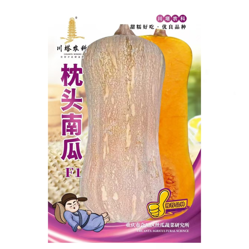 川塔枕头南瓜种子香味浓郁