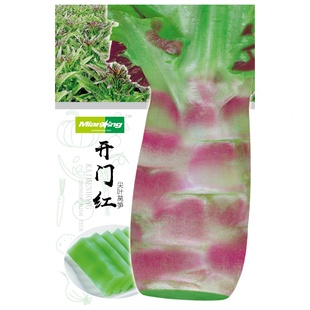 开门红尖叶莴苣种籽红紫莴笋种孑莴苣四季春夏秋冬青菜蔬菜禾之元