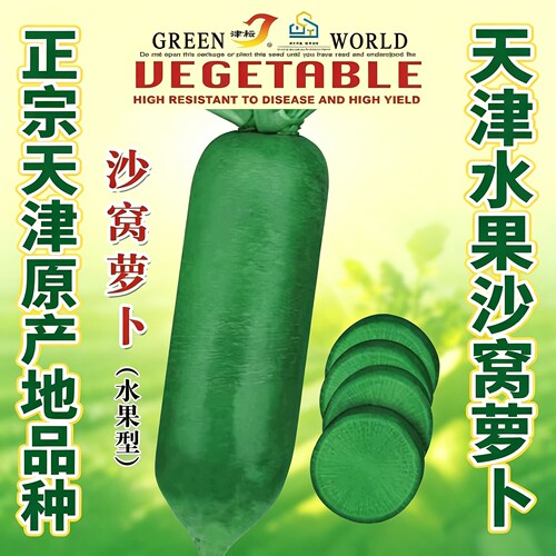 正宗天津沙窝萝卜籽水果萝卜种孑