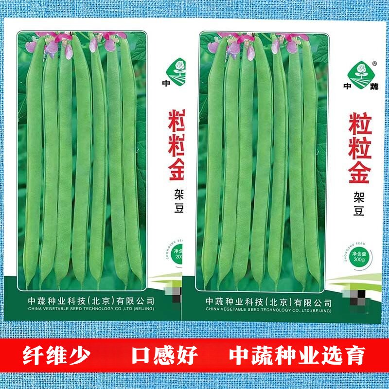 粒粒金架豆种子长芸豆四季豆四季种籽蔬菜春季种籽禾之元种业