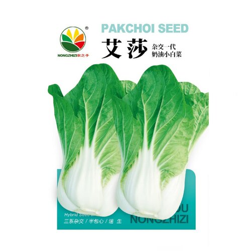 艾莎奶油小白菜种子杂交一代