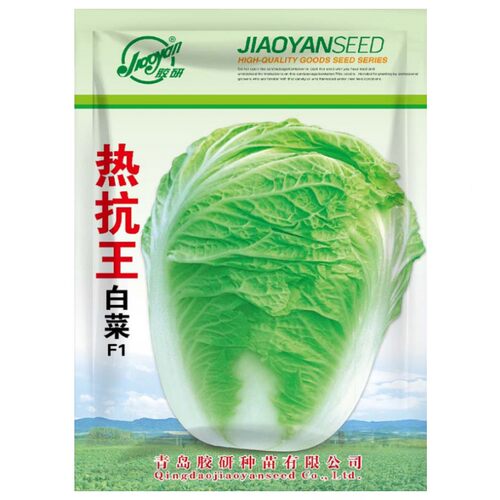热抗王白菜种子耐热大白菜籽