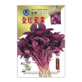 Все семена красного амаранта в горшках балкон -балкон для семян диких овощ