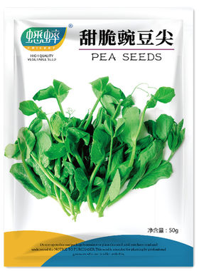 豌豆种籽无须豌豆苗种籽尖芽苗