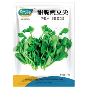 豌豆种籽无须豌豆苗种籽尖芽菜种子四季蔬菜孑禾之元种业春夏秋冬