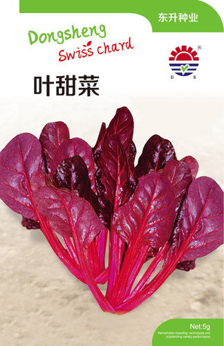 紫叶观光园红甜菜种子
