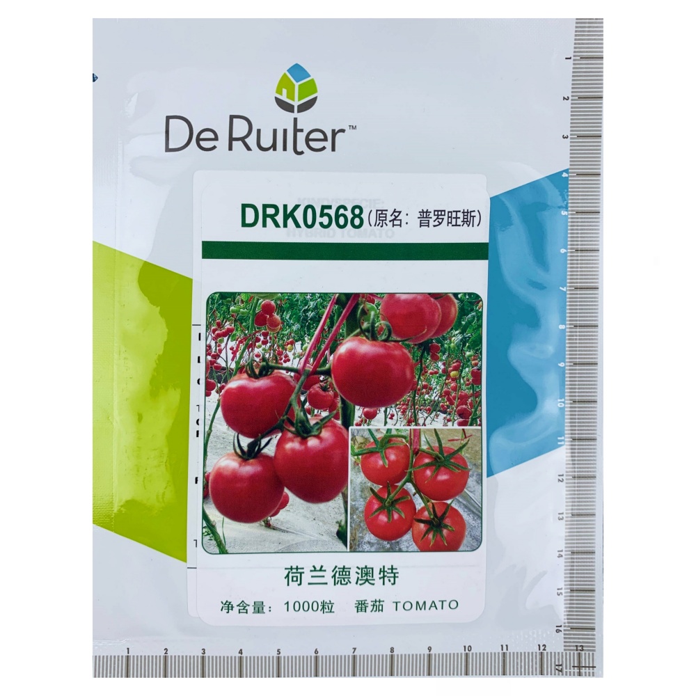 春夏秋播种四季番茄种子