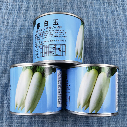 春白玉白萝卜种子萝卜种子