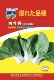 Семена капусты Белый Пион коротконогий 20г оригинальные (жаростойкие) белые стебли с красивыми цветами