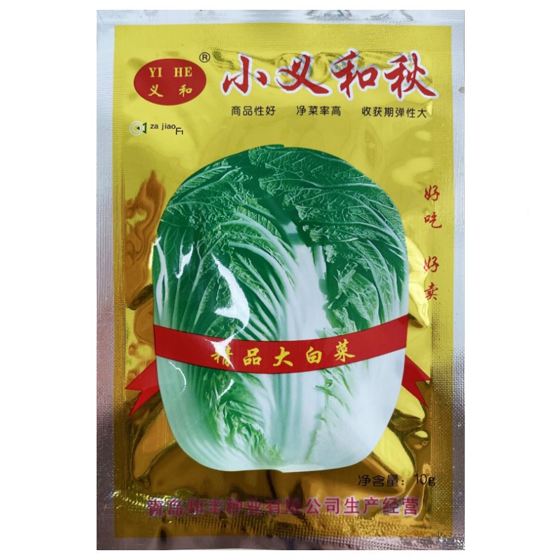 小义和秋精品大白菜种子
