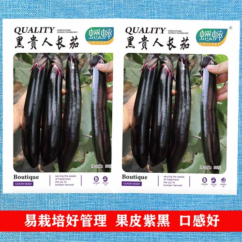 Черные дворяне Длинные семена баклажанов. Семена овощей Shouguang, весенняя осень и зима, четыре сезона, саженцы баклажанов семян