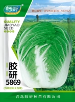 【Капуста китайская гумян 5869】Семена китайской капусты 10г оригинал