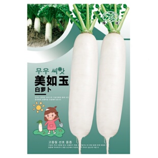 美如玉白萝卜种子白萝卜种籽四季秋季播种菜籽种蔬菜甜脆秋禾之元