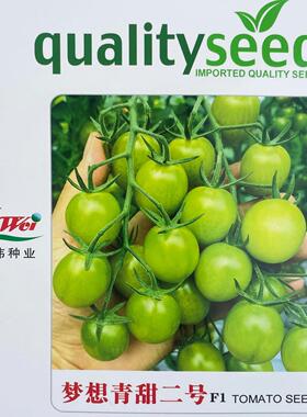 梦想青甜2号二号番茄苗种籽青口蜜秧苗樱桃西红柿种子春四季蔬菜