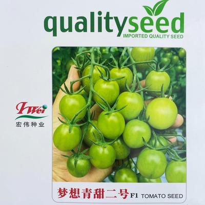 梦想青甜二号番茄苗种籽超甜