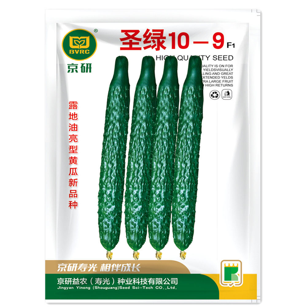 蔬菜秋冬油亮四季高温黄瓜种子图片