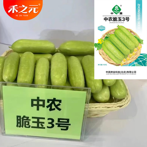 中农脆玉3号水果黄瓜种籽禾之元