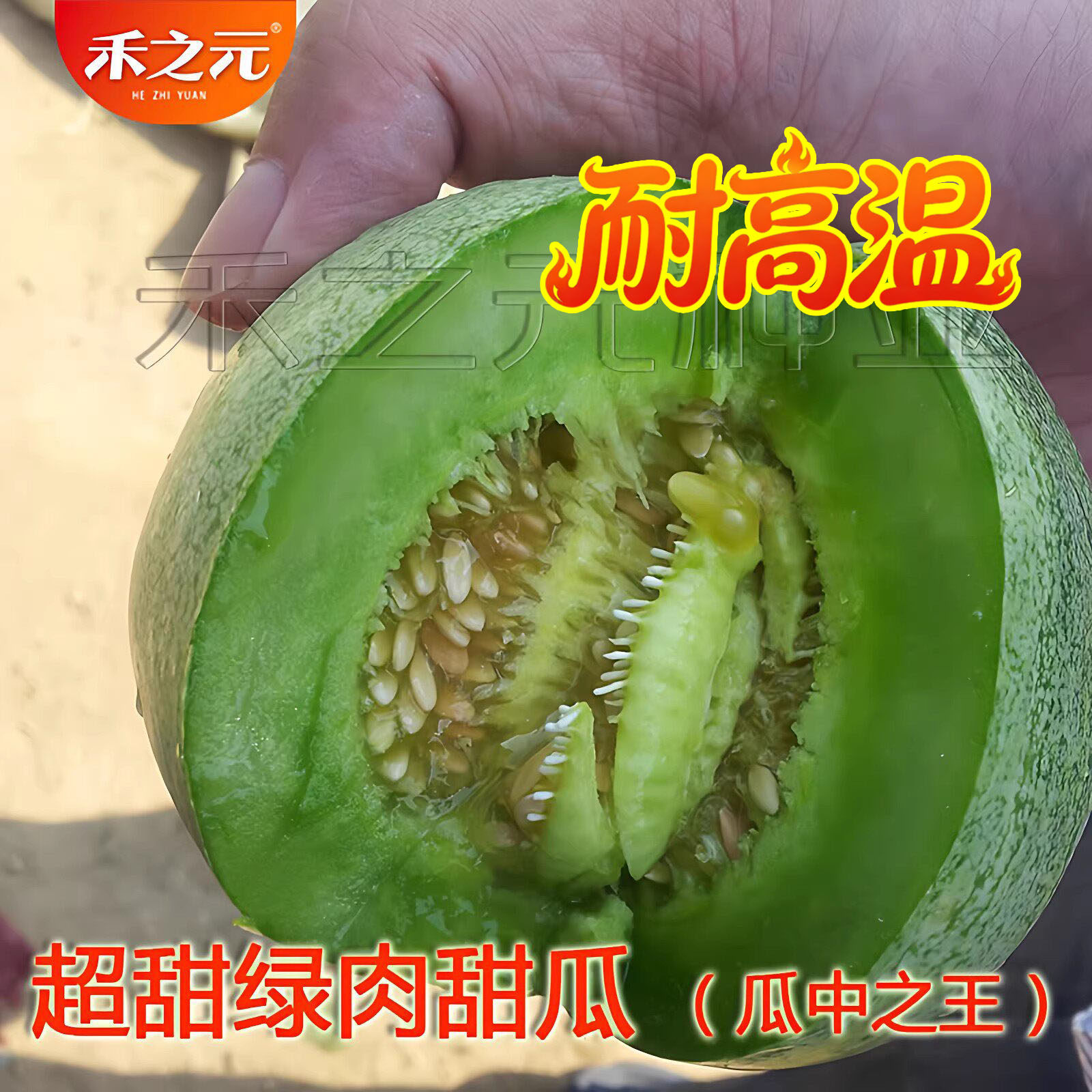 绿宝石羊角蜜甜瓜种子 香瓜苗春季四季高产超甜 种籽大全秧苗西瓜