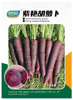 紫艳胡萝卜种子孑秋冬季人参水果艳紫春秋四季蔬菜禾之元种业种籽