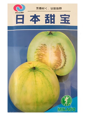 日本甜宝甜瓜种子春季夏季秋季四季播家种冬季超大香瓜籽水果种籽
