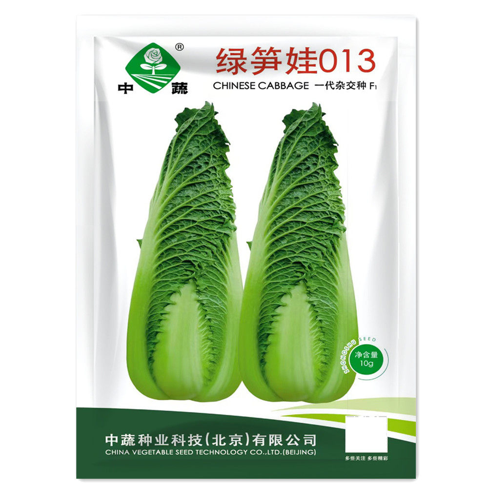 绿笋娃013笋形包心大白菜种子种籽青麻叶四季秋冬季蔬菜绍菜种孑