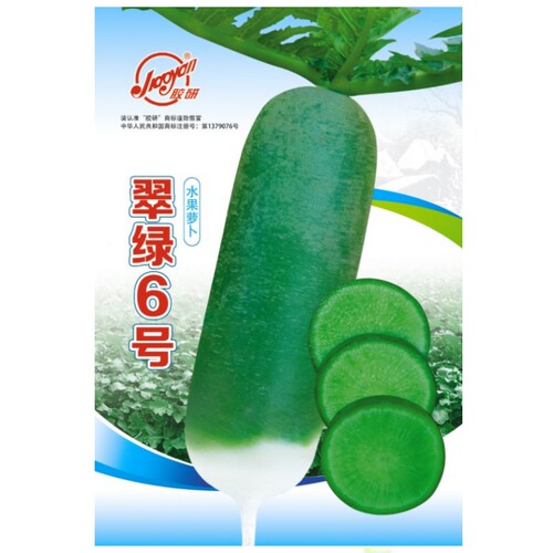 翠绿6号水果萝卜种子生吃甜脆