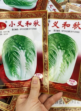 小义和秋大白菜种子蔬菜籽北方秋季冬储胶州小菜籽冬秋种孑禾之元