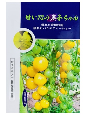 日本冰淇淋樱桃番茄种籽孑超甜黄色圣女果种子花之大和纯甜禾之元