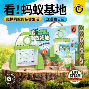 科答鸭儿童蚂蚁基地生态工坊活体小动物昆虫观察盒弓背蚁后幼儿园