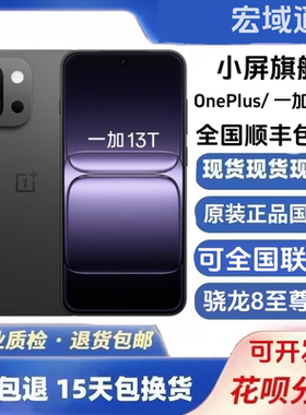 OnePlus/一加 一加 13T游戏小屏智能拍照骁龙8至尊版二.手5g手机
