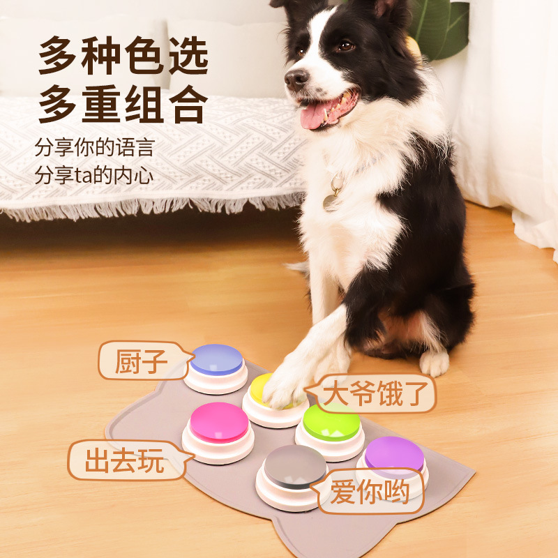易学好用训练器交流按钮幼教