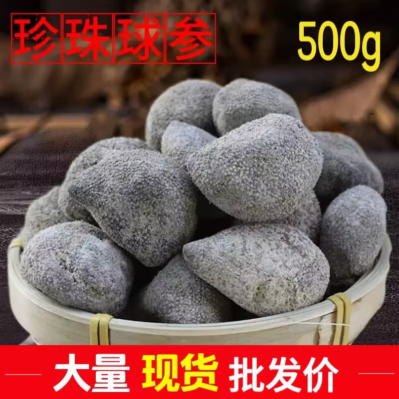 野生球参越南珍珠球参乌圆参淡干印尼海参干货乌元参酒店水发供应