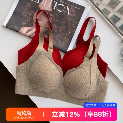 提未苏无钢圈磨毛小胸聚拢女文胸