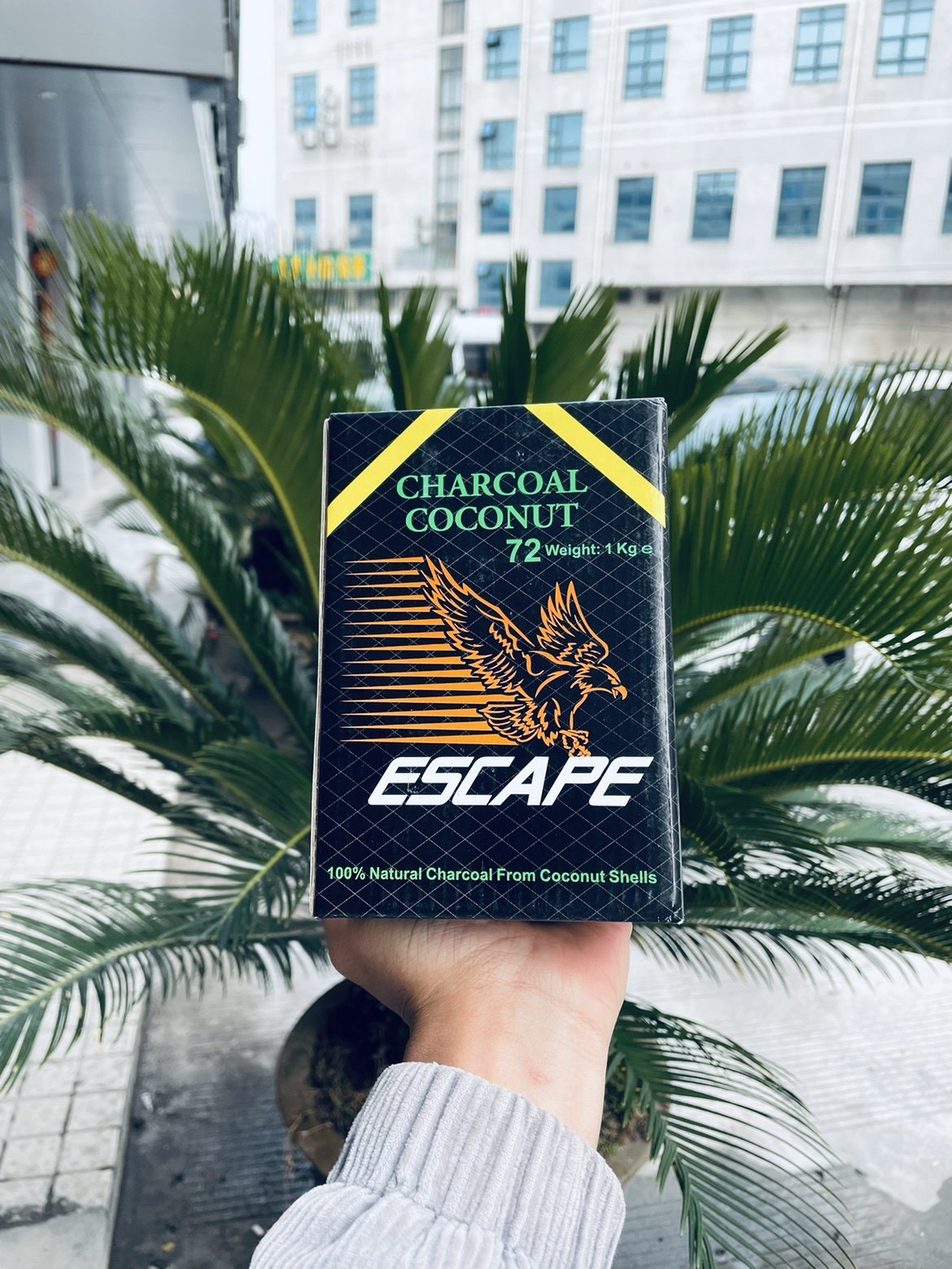 CHARCOAL COCOMUT老鹰碳72片进口阿拉伯水烟椰壳炭方块木炭椰子碳,ZIPPO/瑞士军刀/眼镜,烟斗,淘宝优惠券,粉丝福利购,淘宝优惠卷