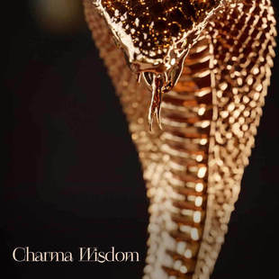 进口水烟壶 Wisdom俄罗斯原装 已出售样板展示 Charma MAKLAUD