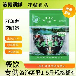 [餐饮专供]水库鱼头无土腥味南湾湖信阳花鲢白鲢水库鱼1-5斤