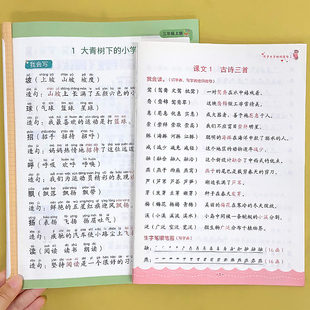 三年级上册下册同步生字组词造句阅读本小学生语文写字表笔顺词语句子积累手册基础知识专项训练人教部编版练习册一二类识字天天练