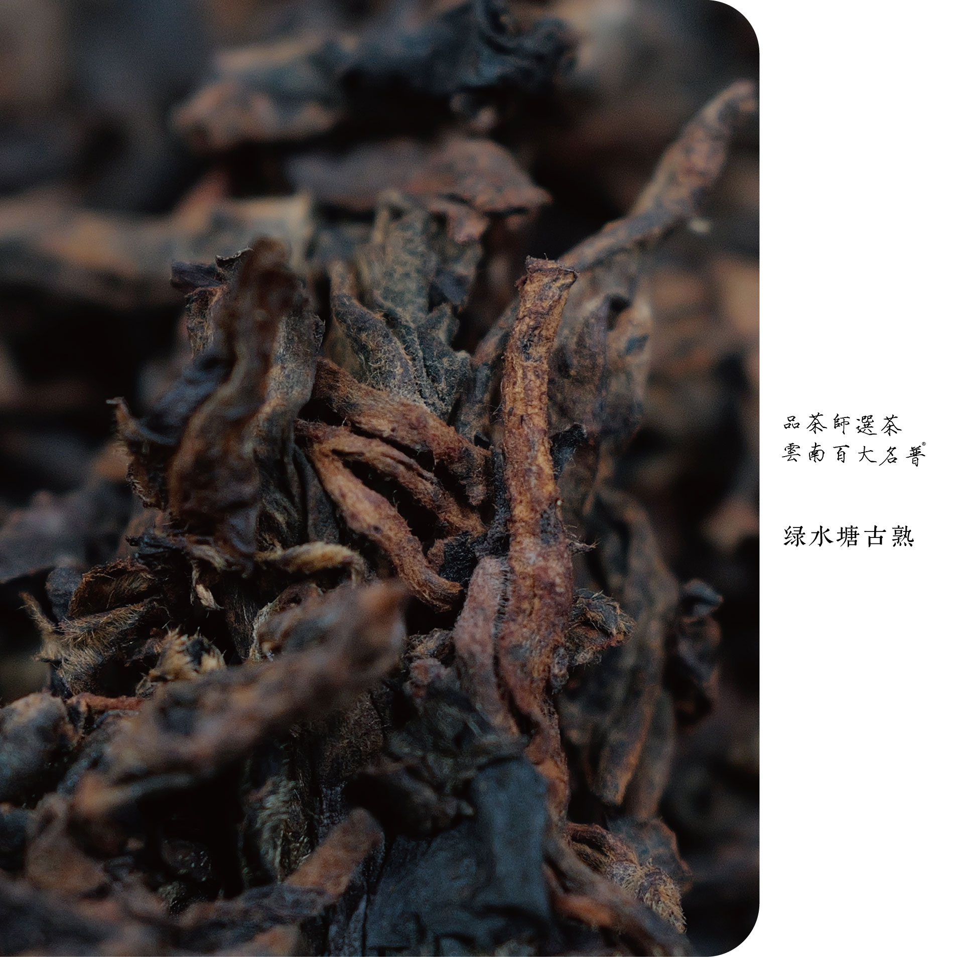 品熟师 | 2021年绿水塘山泉水小筐离地发酵古树熟茶200克饼